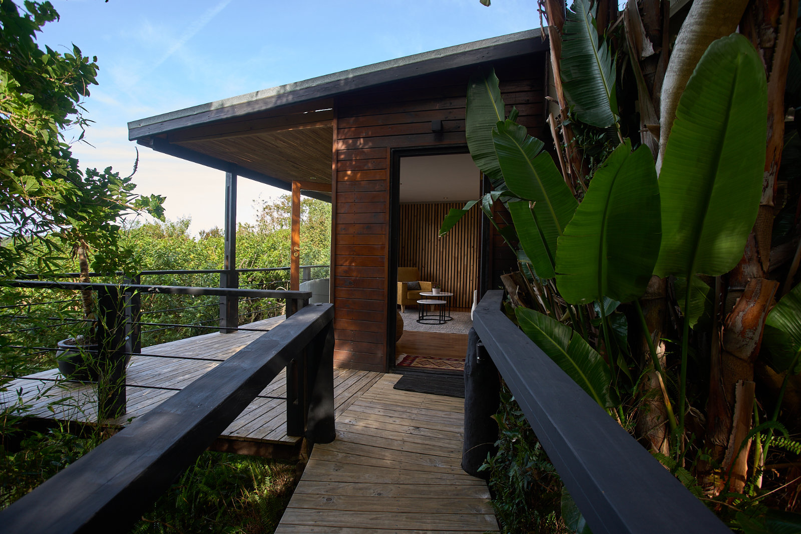 Die Zufahrt zur Hog Hollow Country Lodge durch den einheimischen Wald